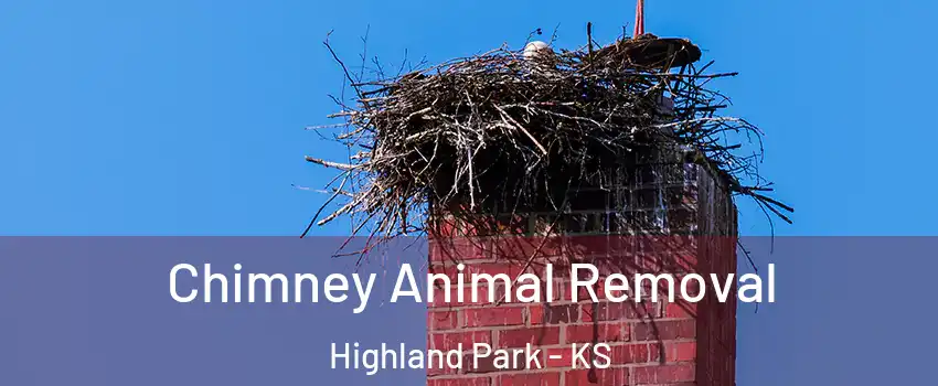 Chimney Animal Removal Highland Park - KS