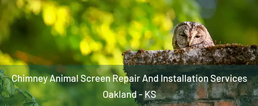 Chimney Animal Screen Repair And Installation Services Oakland - KS