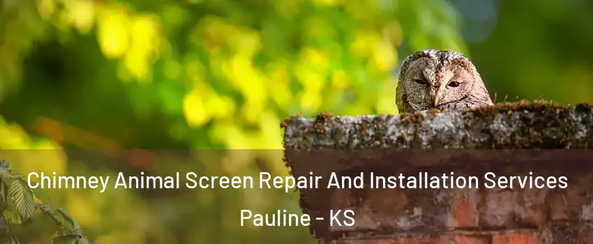 Chimney Animal Screen Repair And Installation Services Pauline - KS