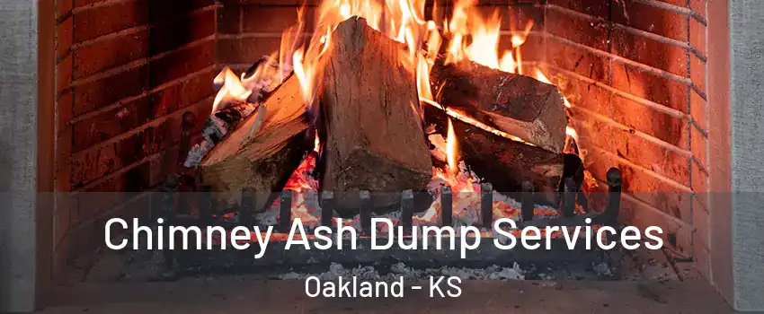 Chimney Ash Dump Services Oakland - KS