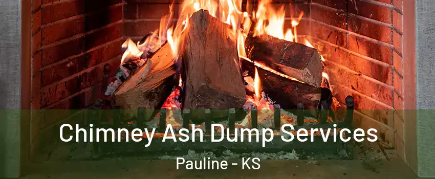 Chimney Ash Dump Services Pauline - KS