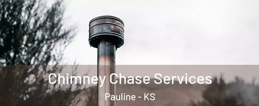 Chimney Chase Services Pauline - KS