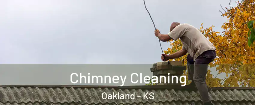 Chimney Cleaning Oakland - KS
