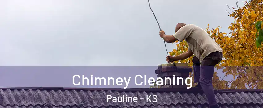 Chimney Cleaning Pauline - KS