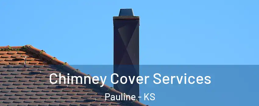 Chimney Cover Services Pauline - KS