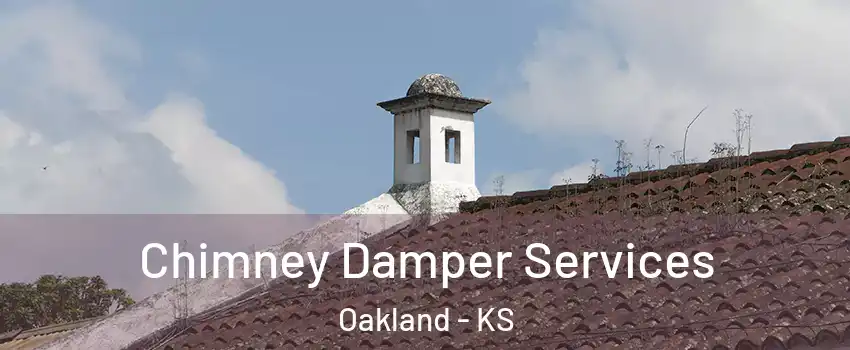Chimney Damper Services Oakland - KS