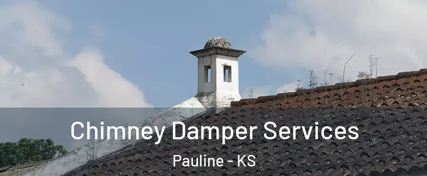 Chimney Damper Services Pauline - KS