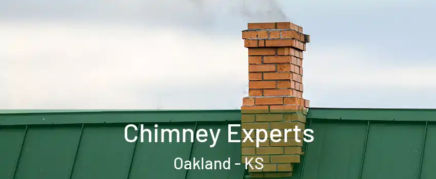 Chimney Experts Oakland - KS