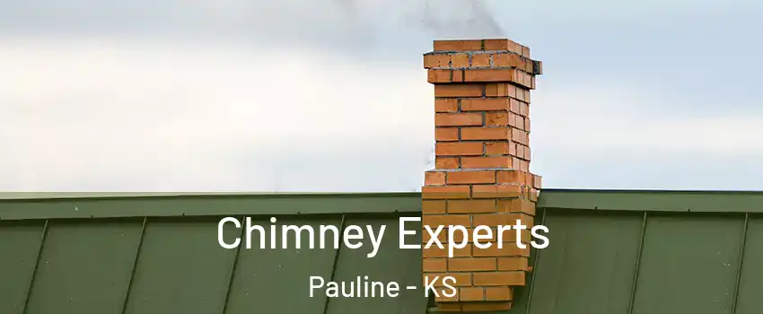 Chimney Experts Pauline - KS