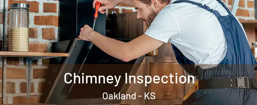 Chimney Inspection Oakland - KS