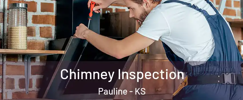 Chimney Inspection Pauline - KS
