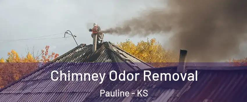 Chimney Odor Removal Pauline - KS
