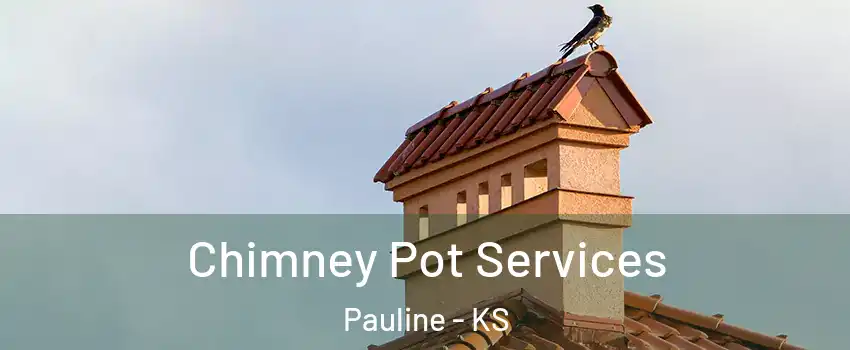 Chimney Pot Services Pauline - KS