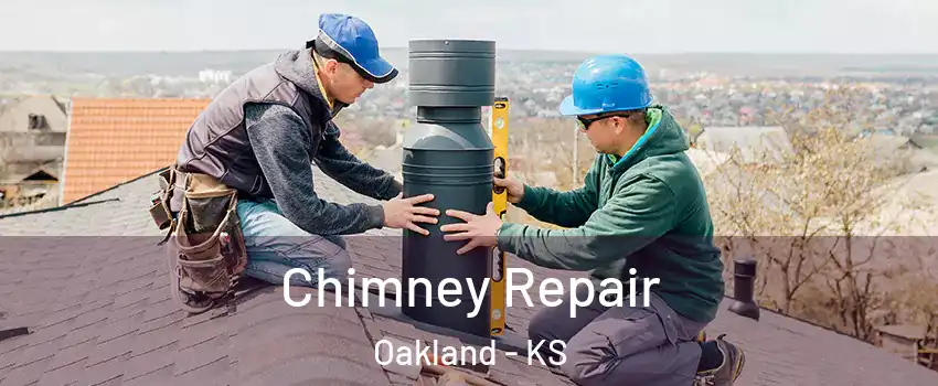 Chimney Repair Oakland - KS