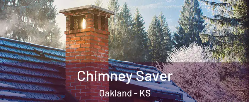 Chimney Saver Oakland - KS