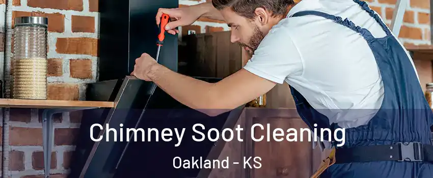 Chimney Soot Cleaning Oakland - KS