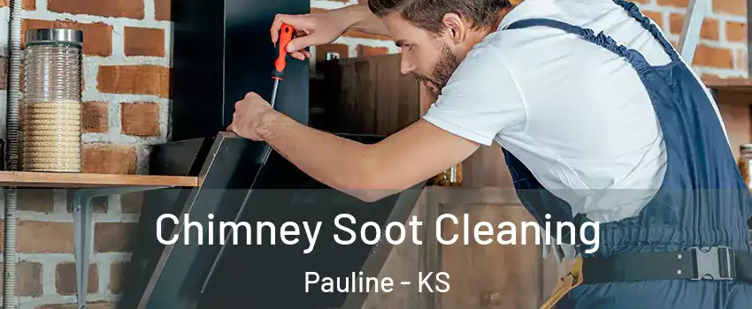 Chimney Soot Cleaning Pauline - KS