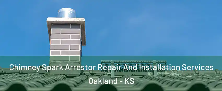 Chimney Spark Arrestor Repair And Installation Services Oakland - KS