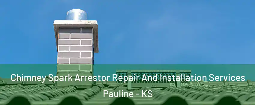 Chimney Spark Arrestor Repair And Installation Services Pauline - KS