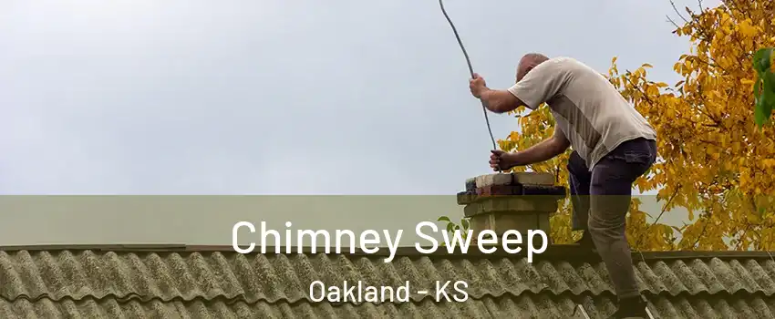 Chimney Sweep Oakland - KS