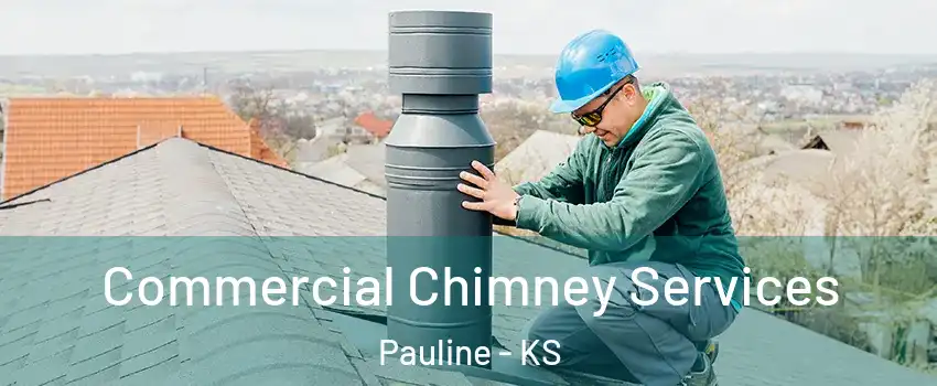 Commercial Chimney Services Pauline - KS