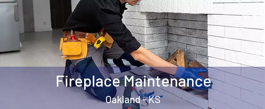 Fireplace Maintenance Oakland - KS