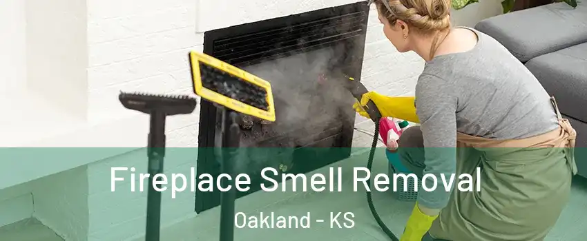 Fireplace Smell Removal Oakland - KS