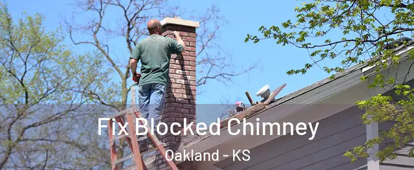 Fix Blocked Chimney Oakland - KS