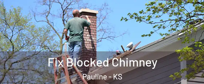 Fix Blocked Chimney Pauline - KS