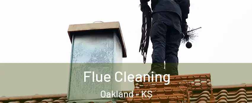 Flue Cleaning Oakland - KS
