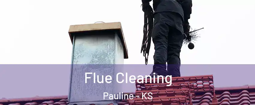 Flue Cleaning Pauline - KS