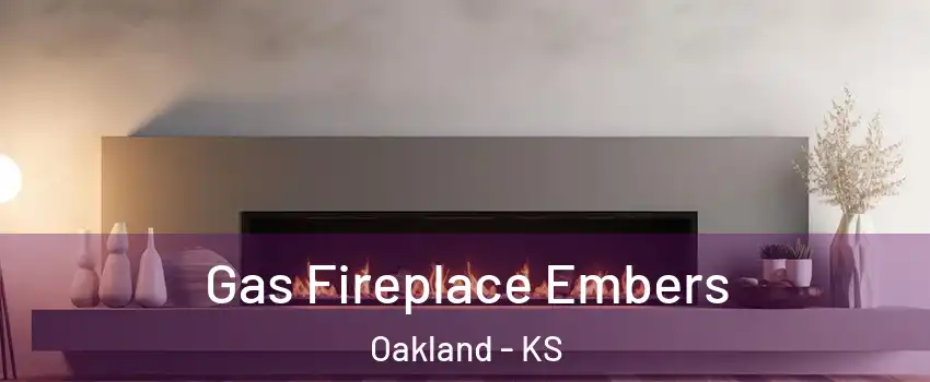 Gas Fireplace Embers Oakland - KS