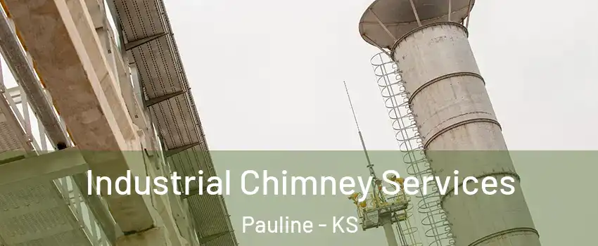 Industrial Chimney Services Pauline - KS