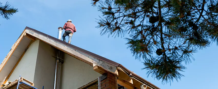 Birds Removal Contractors from Chimney in Pauline, KS