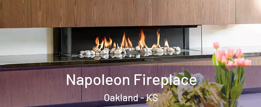 Napoleon Fireplace Oakland - KS